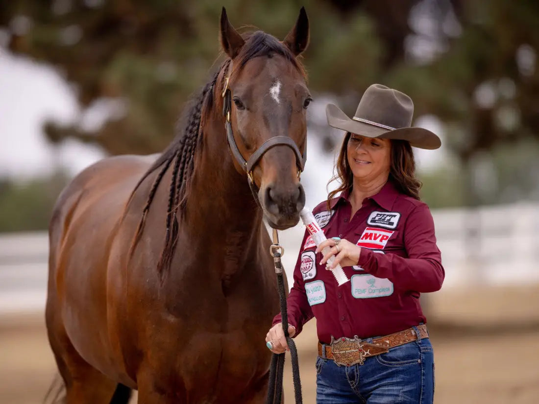 MVP Gastro-Plex Paste Equine Supplement