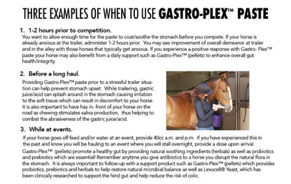 MVP Gastro-Plex Paste Equine Supplement