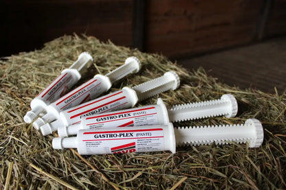 MVP Gastro-Plex Paste Equine Supplement