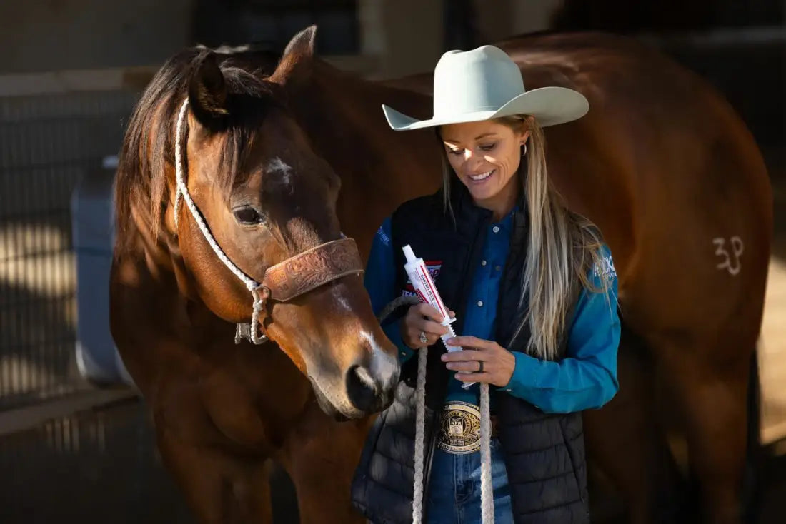 MVP Gastro-Plex Paste Equine Supplement