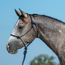 Load image into Gallery viewer, Classic Equine Rope Halter and 9&#39; Lead Rope
