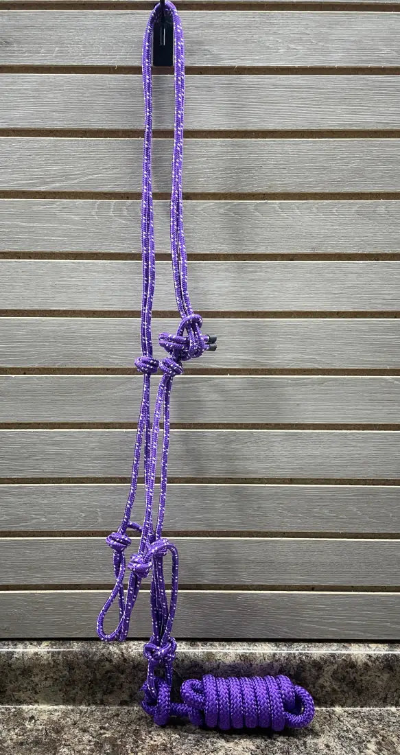 Oxbow Nylon Rope Halter with Lead Purple Halter