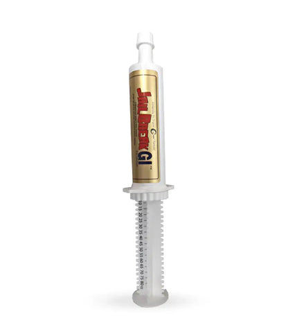 Oxy-Gen JailBreak GI Paste Equine Supplement