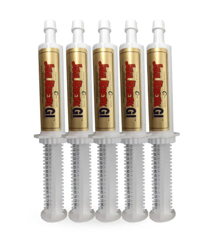 Oxy-Gen JailBreak GI Paste Equine Supplement