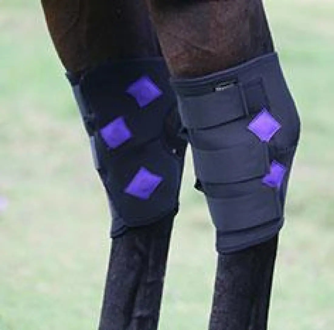 PHT MagnaCu Hock Boots 20X Horse Therapy