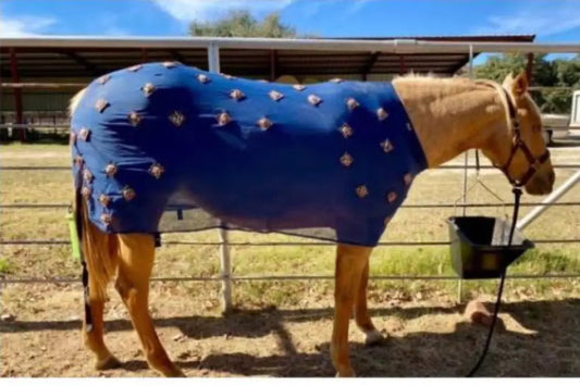 PHT MagnaCu Slinky Horse Therapy