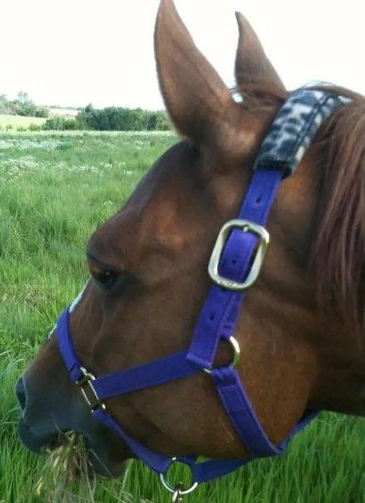 PHT Magnetic Poll Pack Horse Therapy