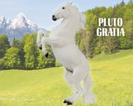 Breyer Traditional Series "Pluto Gratia"