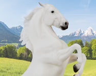 Breyer Traditional Series "Pluto Gratia"