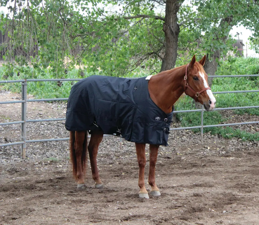 Professional’s Choice 1200D Pony Blanket 50’’ / Black Winter Blanket