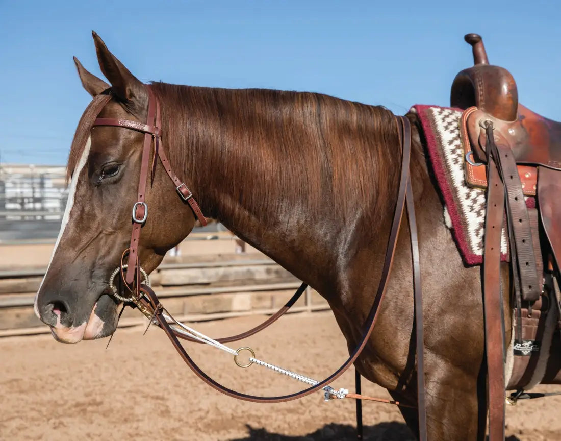 Professional’s Choice Al Dunning Collection - Yoyo Head Setter Training
