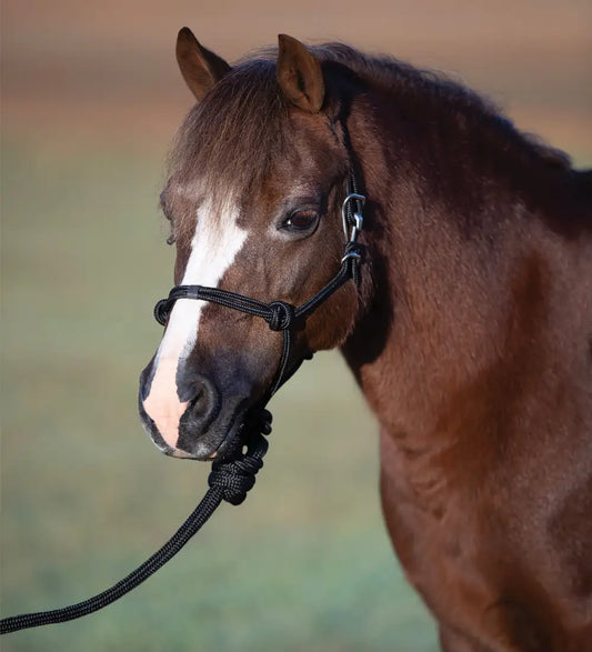 Professional’s Choice Easy On Pony Rope Halter Black Halter