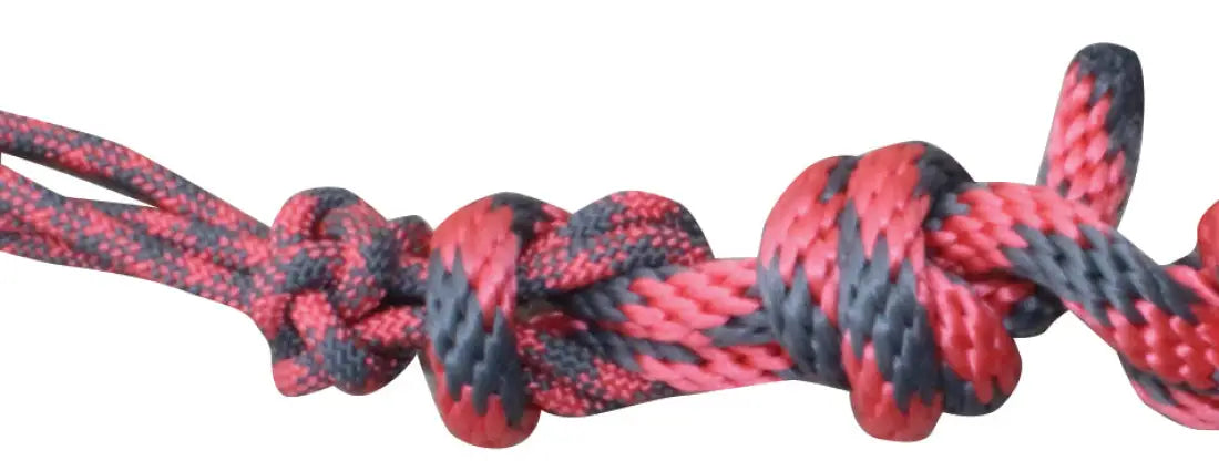 Professional’s Choice Halter with 10’ Lead Coral/Charcoal Halter