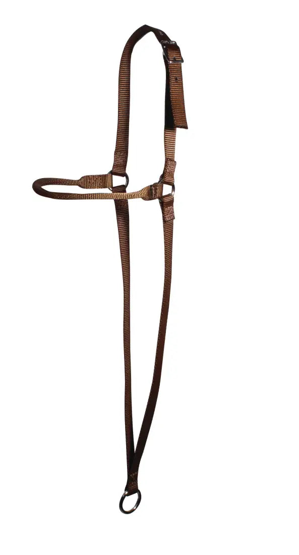 Professional’s Choice War Bonnet Chocolate Web Tiedown/Cavesson