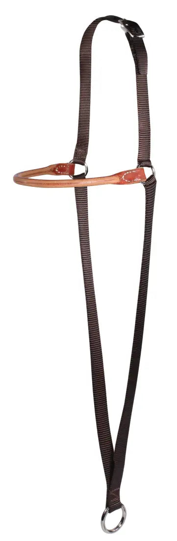 Professional’s Choice War Bonnet Leather/Web Combo Tiedown/Cavesson