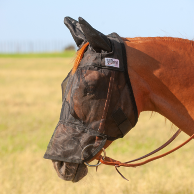 Cashel Quiet Ride™ Fly Mask