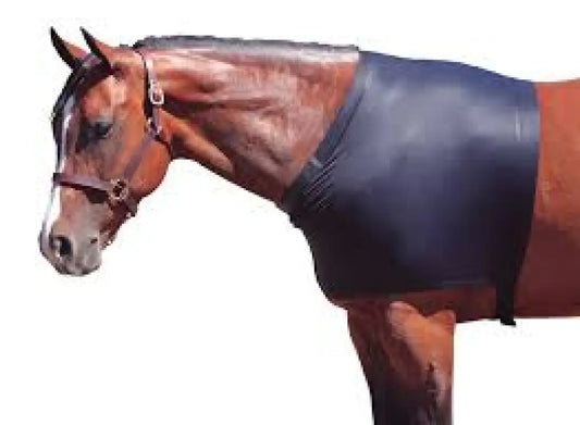 Sleazy Sleepwear for Horses - Shoulder Guard Cooler