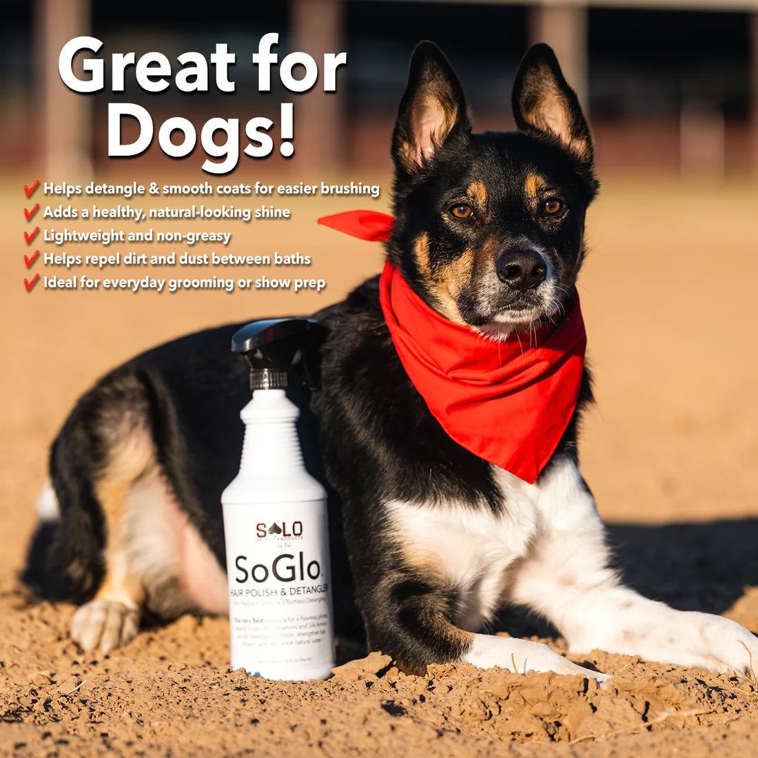 Solo Select SoGlo Hair Polish and Detangler