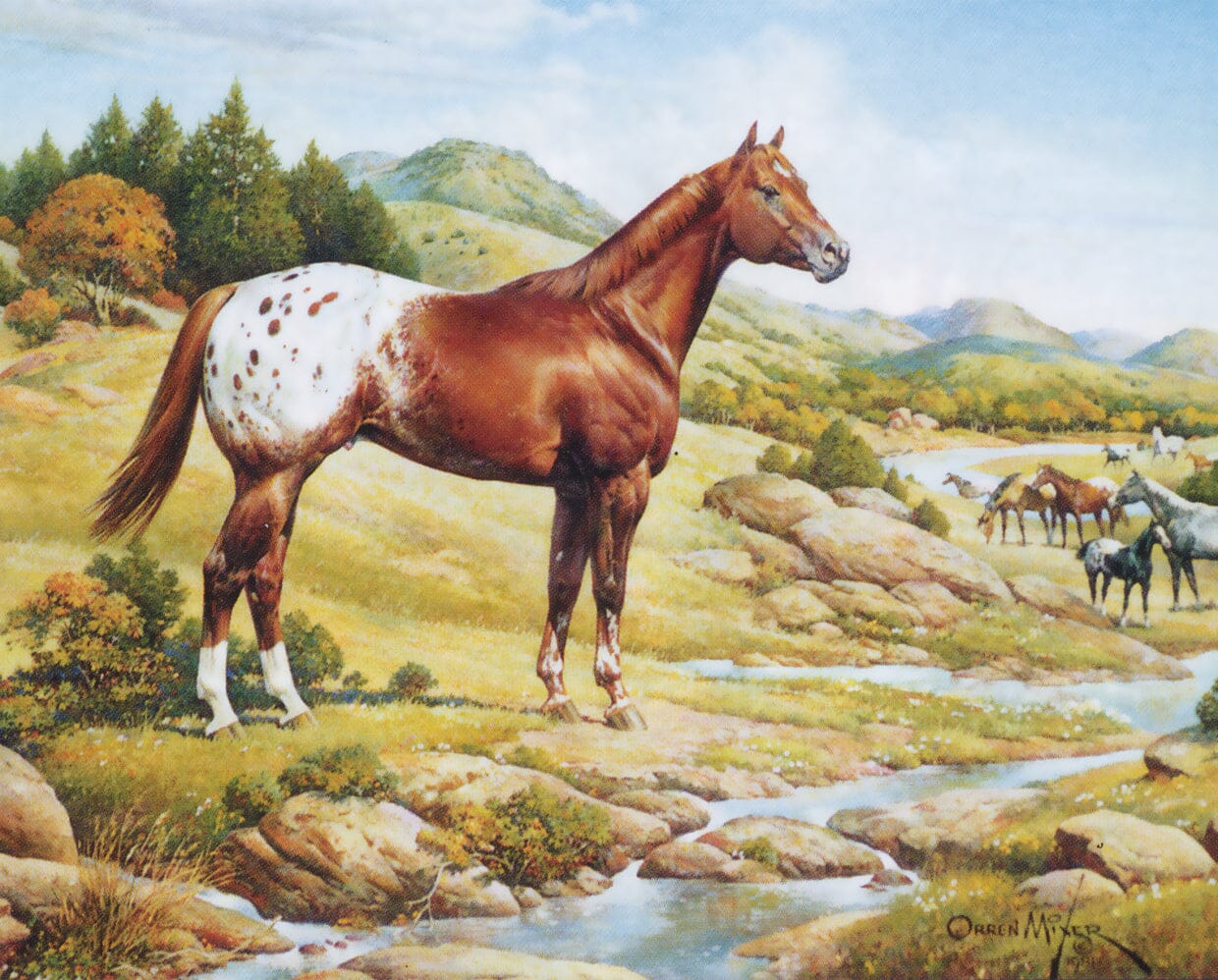 Breyer Traditional Series "Ideal Appaloosa"