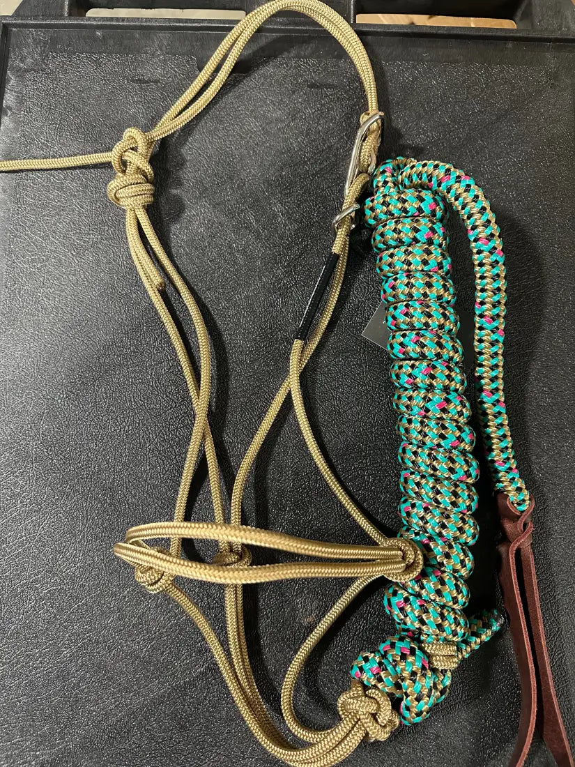 Twisted Knot Halters Rope Halter w/ Easy Off Clip & Lead Gold with Turq/Gold/Pink/Black Jester Lead Halter
