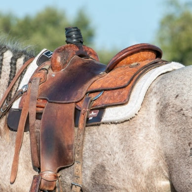 Classic Equine Orthopedic Felt/Fleece Pad 3/4"