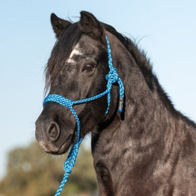 Cashel Flat Braid Pony Halter