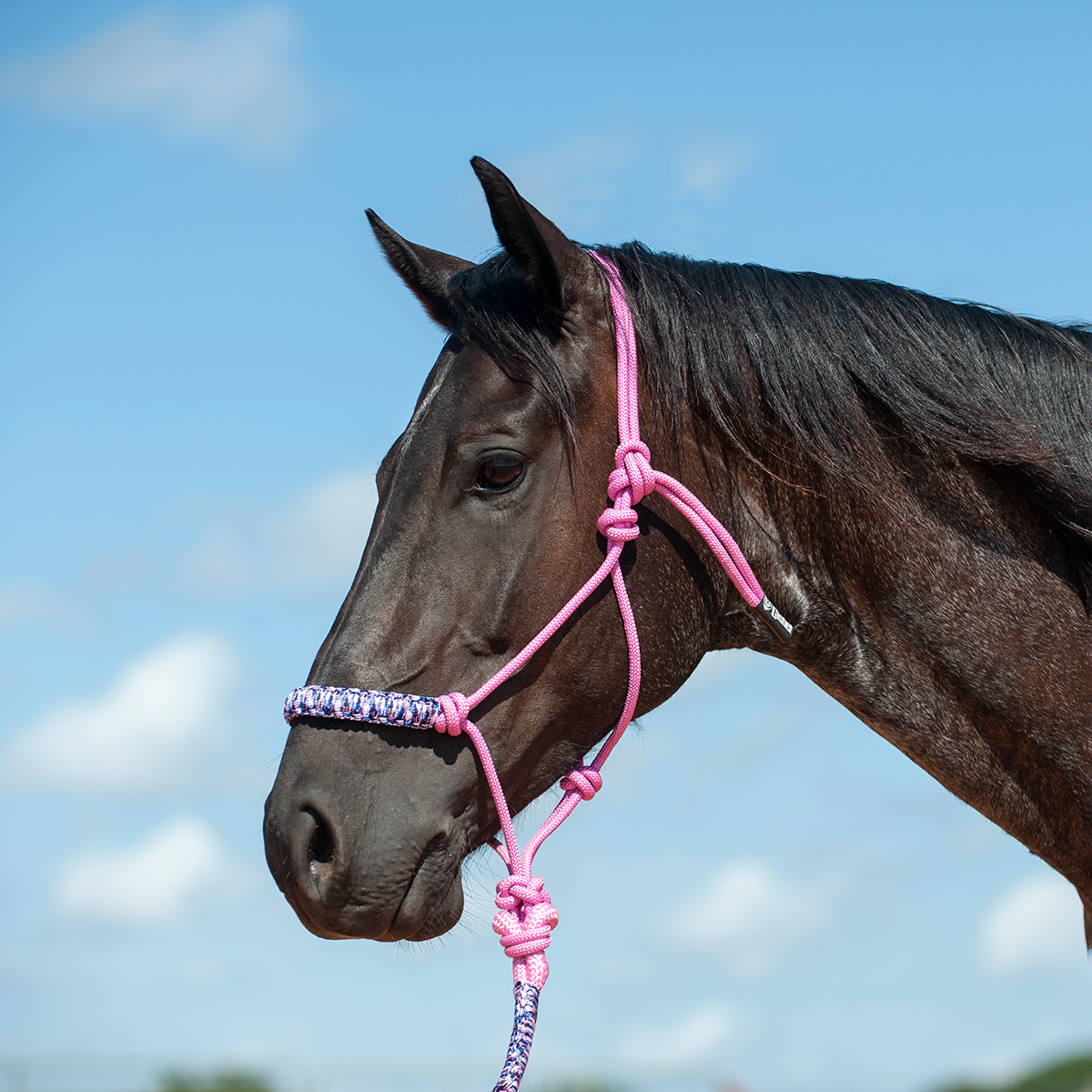 Cashel Braided Rope Nose Halter