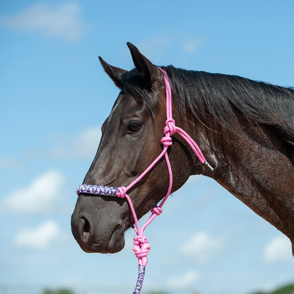 Cashel Braided Rope Nose Halter