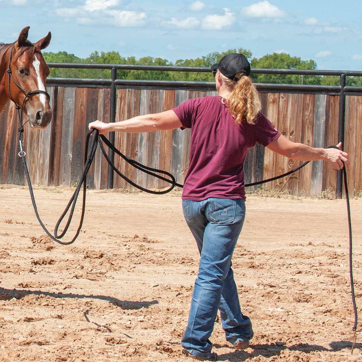 Classic Equine Premium Long Lunge Line