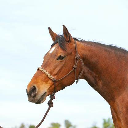 Cashel Braided Rope Nose Halter