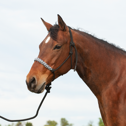 Cashel Braided Rope Nose Halter