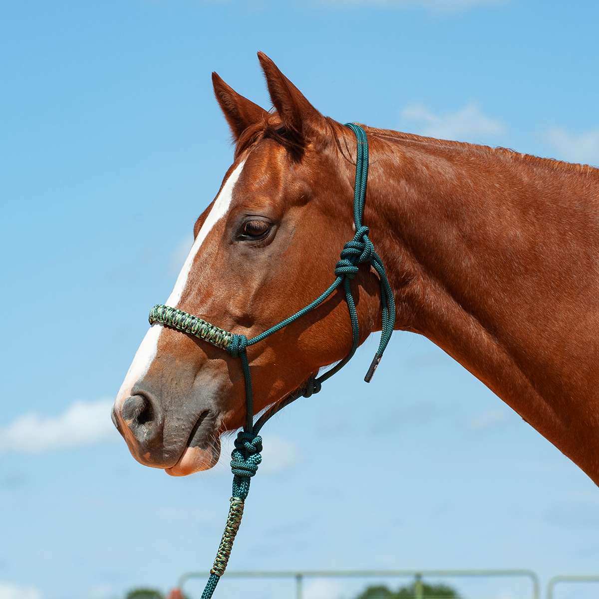 Cashel Braided Rope Nose Halter