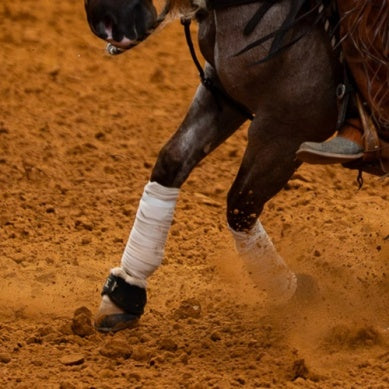 Classic Equine Polo Wraps