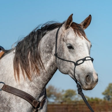 Classic Equine Chain Link Rope Halter