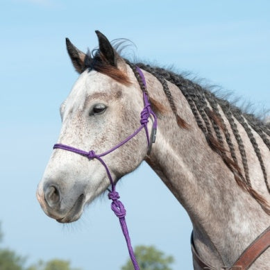 Classic Equine Rope Halter and 9' Lead Rope