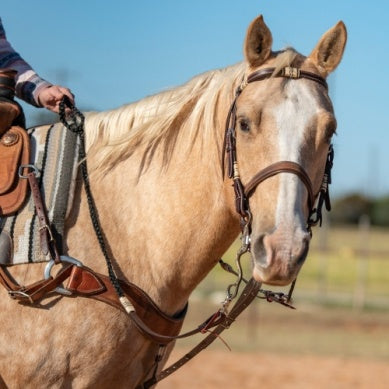 Cashel Adjustable Flat Braid Rein