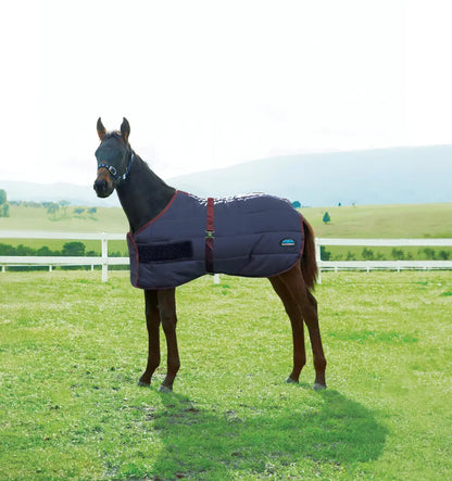 Weatherbeeta 420D Foal Standard Neck Medium Winter Blanket Winter Blanket