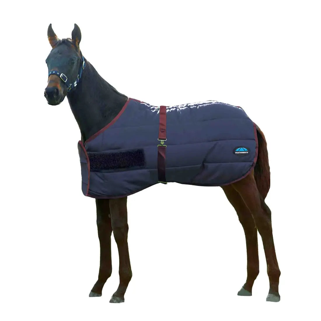 Weatherbeeta 420D Foal Standard Neck Medium Winter Blanket Navy/Burgundy / 28’’- 42’’ (Newborn) Winter Blanket