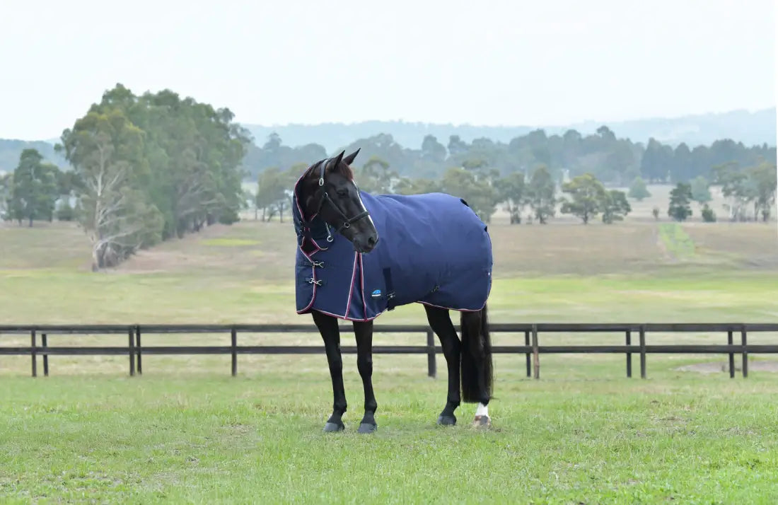 Weatherbeeta ComFiTec Essential Turnout Combo Neck 360G Winter Blanket Winter Blanket