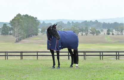 Weatherbeeta ComFiTec Essential Turnout Combo Neck 360G Winter Blanket Winter Blanket