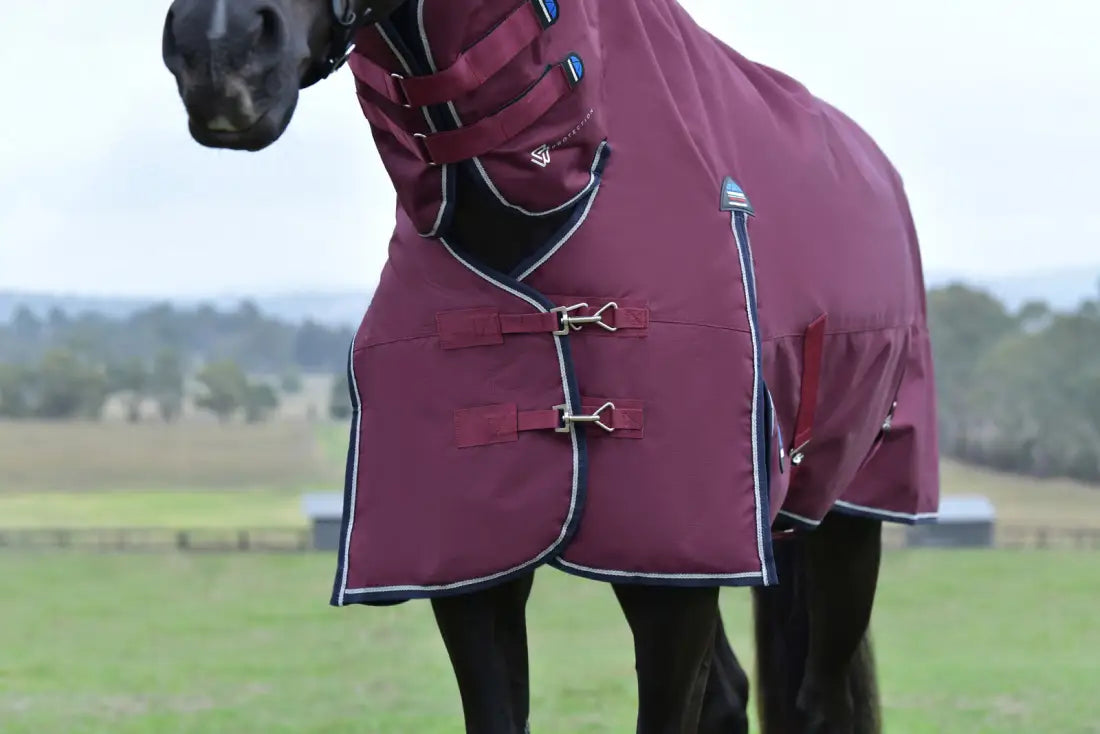 Weatherbeeta ComFiTec Essential Turnout Combo Neck 360G Winter Blanket Winter Blanket