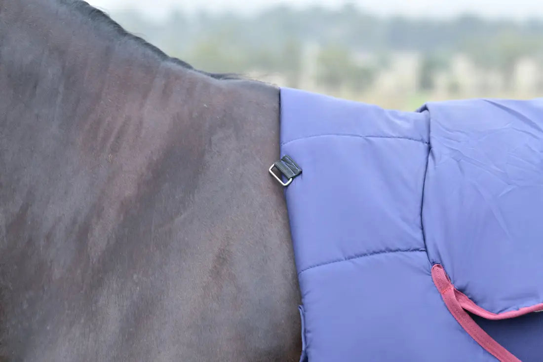 Weatherbeeta ComFiTec Essential Turnout Combo Neck 360G Winter Blanket Winter Blanket