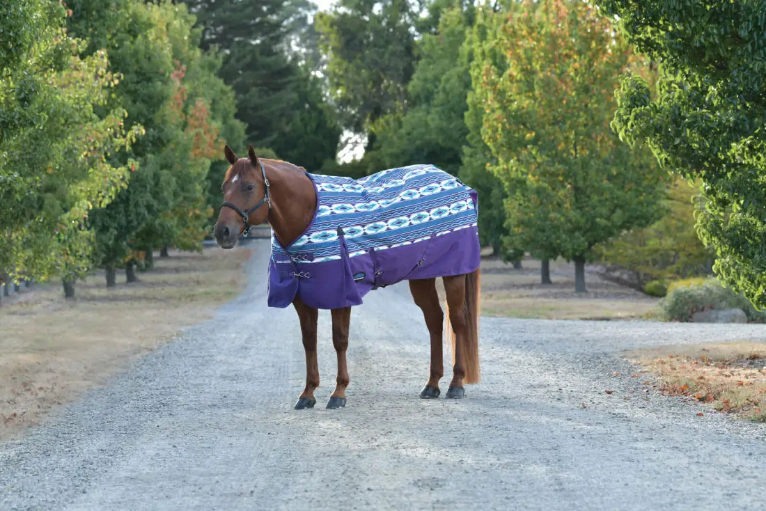 Weatherbeeta ComFiTec Essential Turnout Standard Neck 220G Winter Blanket Winter Blanket
