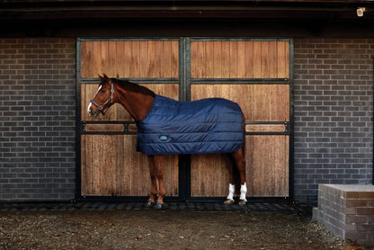 Weatherbeeta Comfitec Liner 100G Winter Blanket