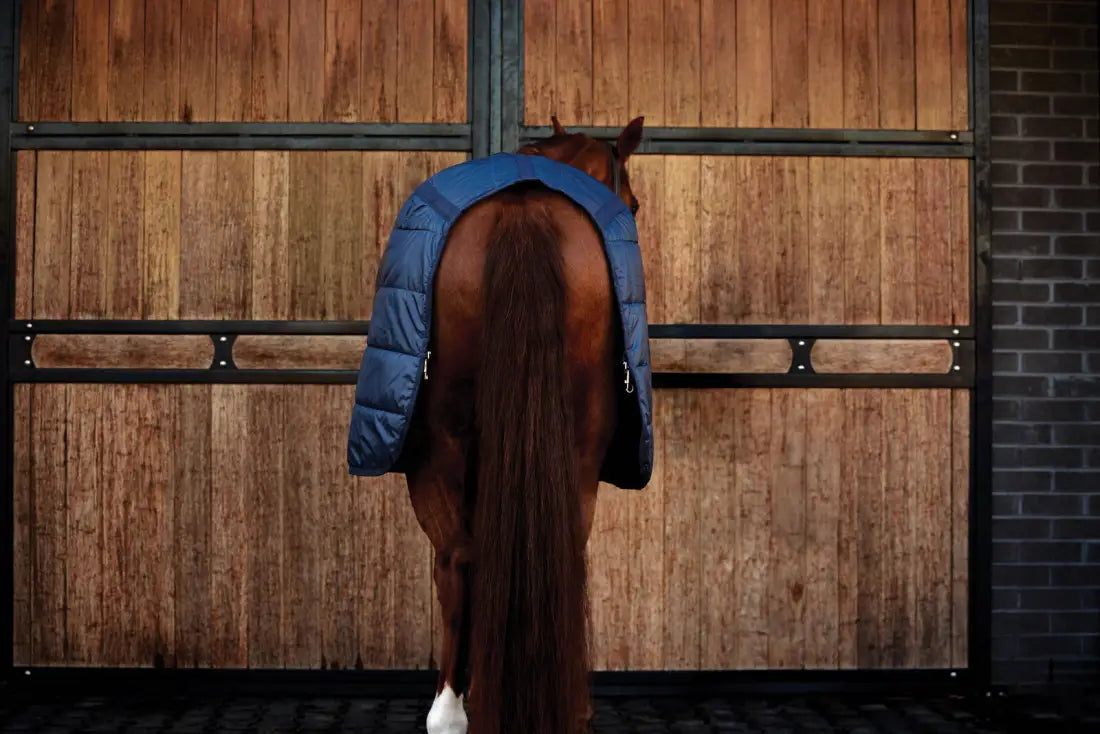 Weatherbeeta Comfitec Liner 100G Winter Blanket