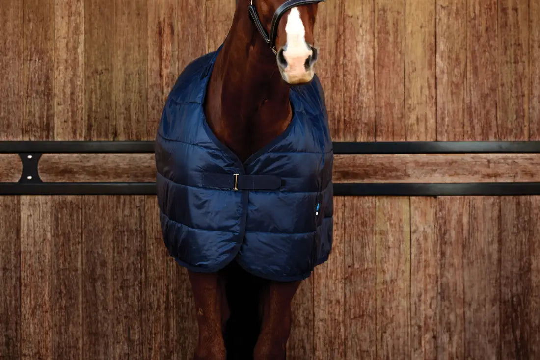 Weatherbeeta Comfitec Liner 100G Winter Blanket