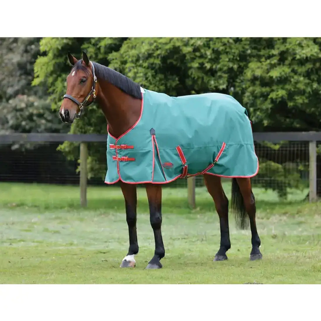 Weatherbeeta ComFiTec Prelim Standard Neck Medium Winter Blanket Winter Blanket