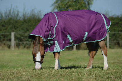 Weatherbeeta Comfitec Premier Freedom Pony Detach-A-Neck Medium Winter Blanket Winter Blanket