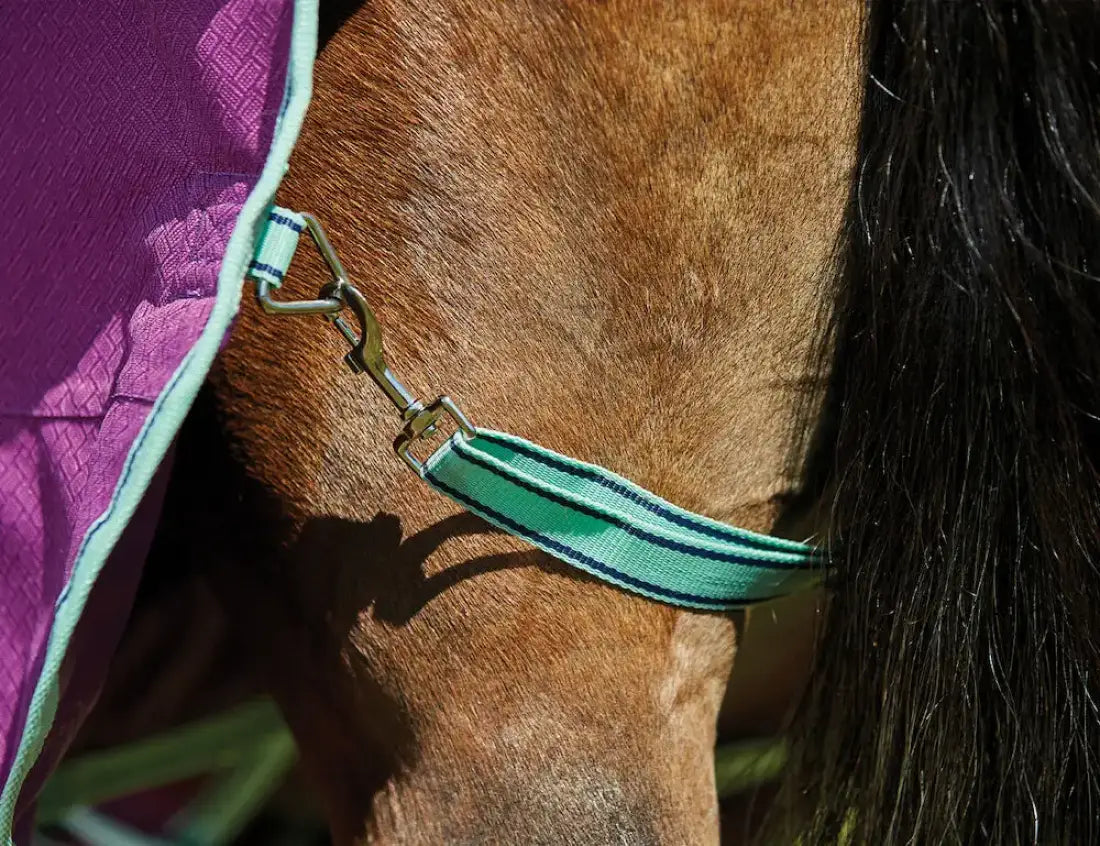 Weatherbeeta Comfitec Premier Freedom Pony Detach-A-Neck Medium Winter Blanket Winter Blanket