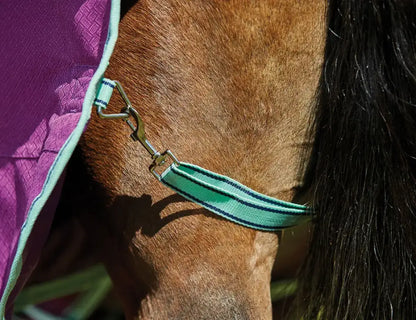 Weatherbeeta Comfitec Premier Freedom Pony Detach-A-Neck Medium Winter Blanket Winter Blanket